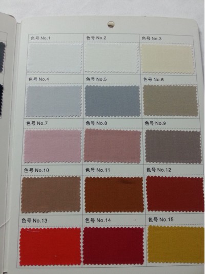 GZ- LEEN  天枢100% L58487 後面照